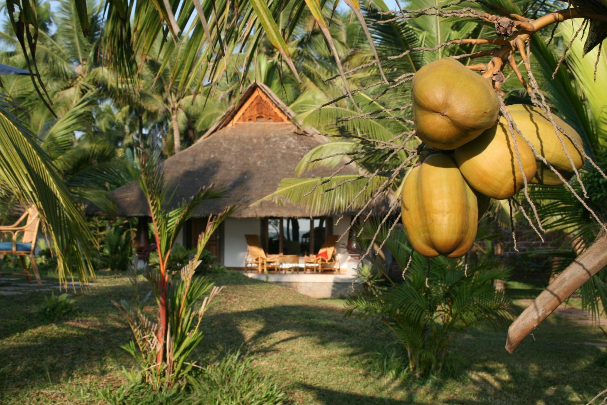 Neeleshwar Hermitage Nīleshwar Extérieur photo