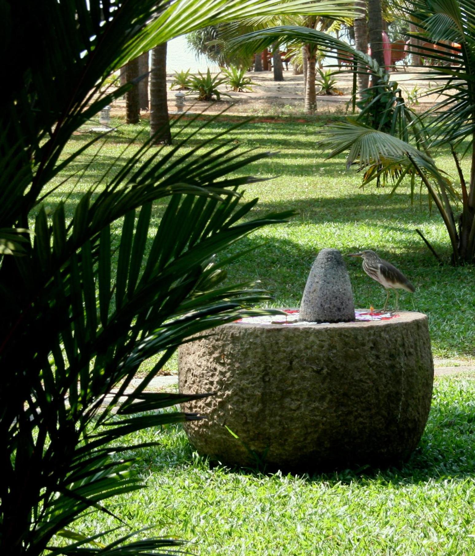 Neeleshwar Hermitage Nīleshwar Extérieur photo