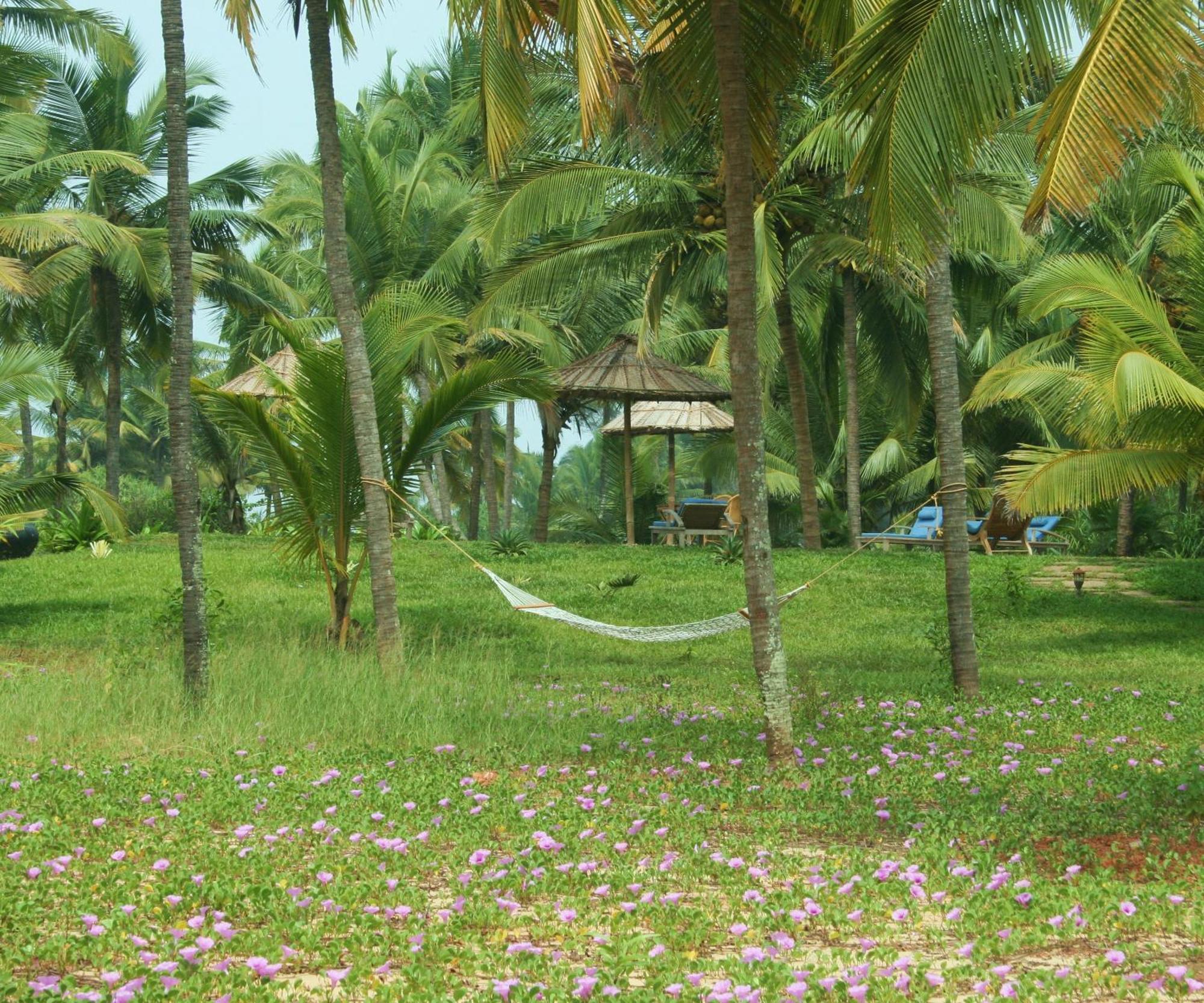 Neeleshwar Hermitage Nīleshwar Extérieur photo